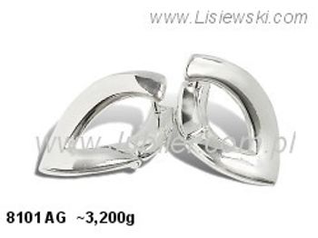 Kolczyki srebrne cyrkonie biżuteria srebro 925 - 8101ag - 1
