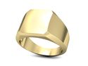 Złoty Sygnet męski ze złota sygnet rodowy złoto 585 - sg34