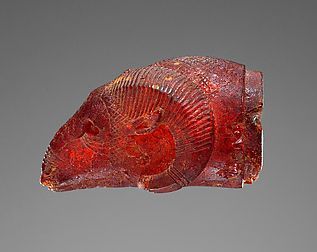 Bursztynowy element w formie głowy barana, Etruria ok. VI w. p.n.e. Paul J. Getty Museum